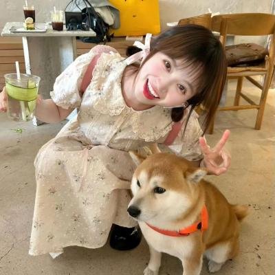 神龙策